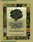 Mycorrhiza_Anat_Cell_book.gif