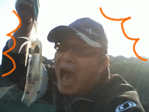 2009102708480001.gif