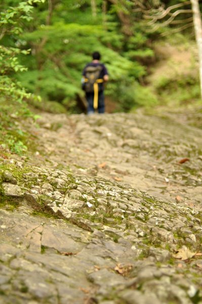DSC_2233.jpg