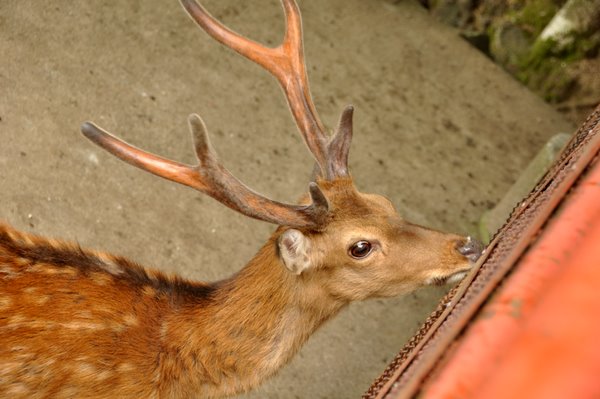 DSC_2289.jpg