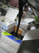 型に入れる