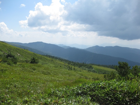 山へ