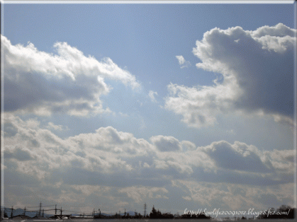 8456-003.gif