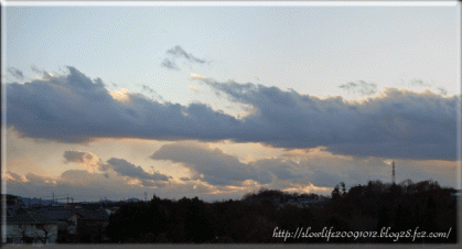 8456-004.gif
