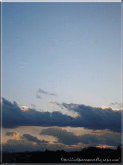 8456-005.gif