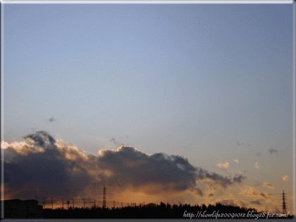 8456-007.gif