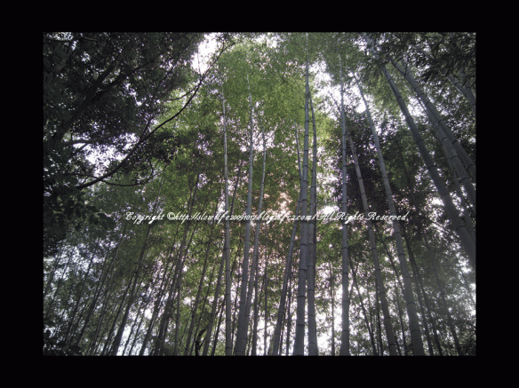 85-042.gif