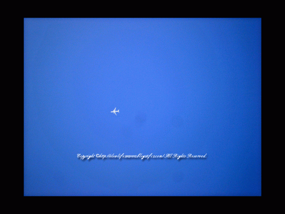 85469-178.gif
