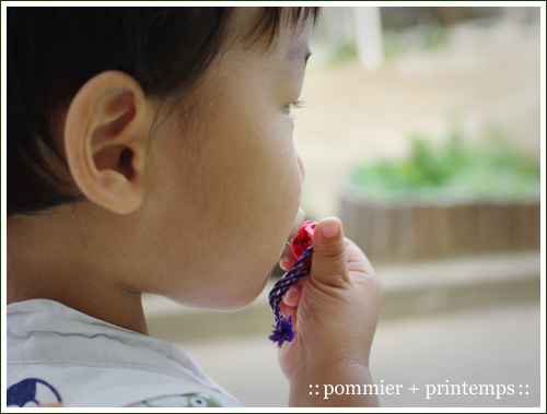 pommier+printemps20090824.jpg