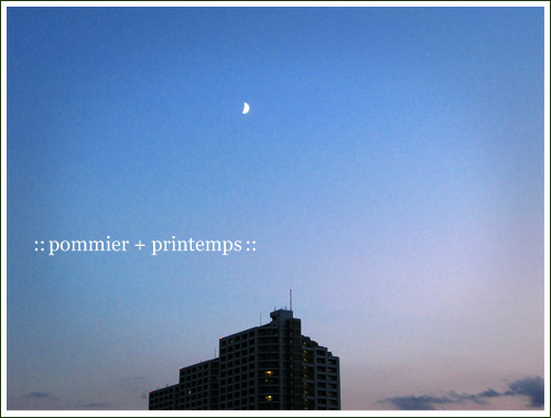 pommier+printemps20090826a.jpg