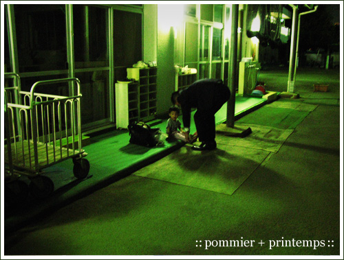 pommier+printemps20090829d.jpg
