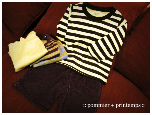pommier+printemps20090830a.jpg