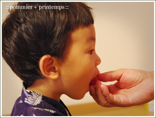 pommier+printemps20090904a.jpg