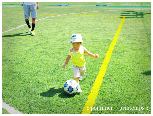 pommier+printemps20090906a.jpg