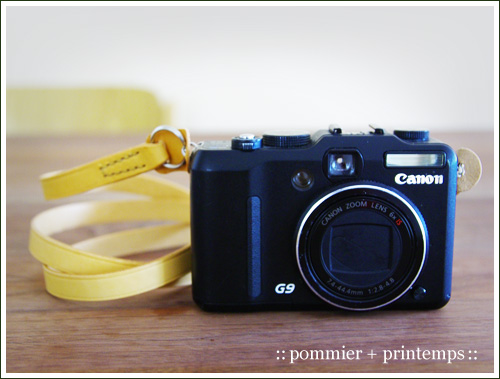 pommier+printemps20090908.jpg