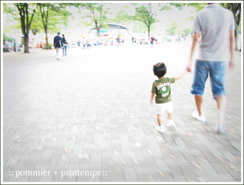 pommier+printemps20090913a.jpg