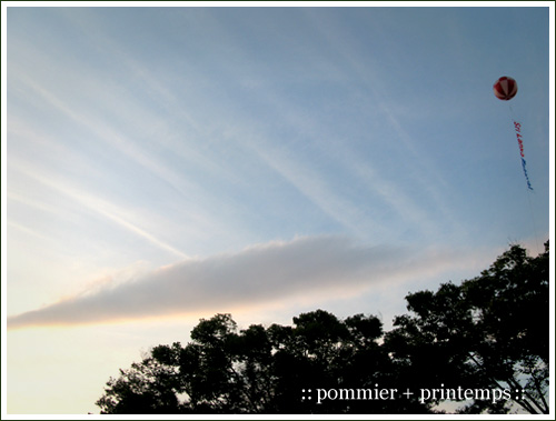 pommier+printemps20090913b.jpg