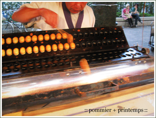 pommier+printemps20090913c.jpg