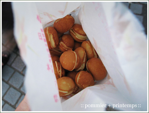 pommier+printemps20090913e.jpg