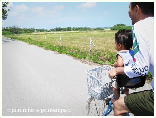 pommier+printemps20090919i.jpg