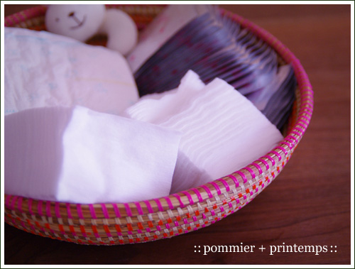 pommier+printemps20110509b.jpg