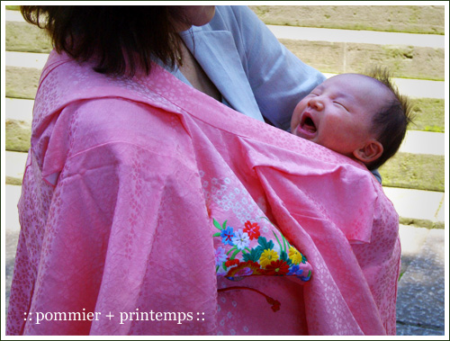 pommier+printemps20110515.jpg