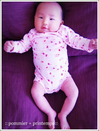 pommier+printemps20110526.jpg