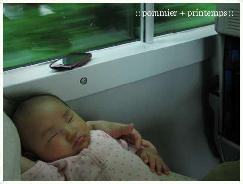 pommier+printemps20110605.jpg