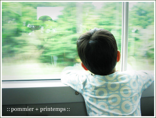 pommier+printemps20110606.jpg