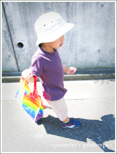 pommier+printemps20110622a.jpg