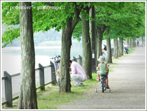 pommier+printemps20110625.jpg