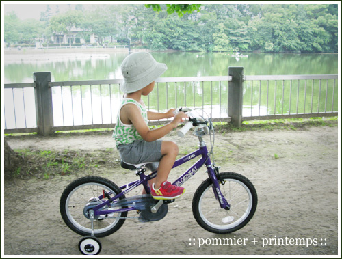 pommier+printemps20110625a.jpg