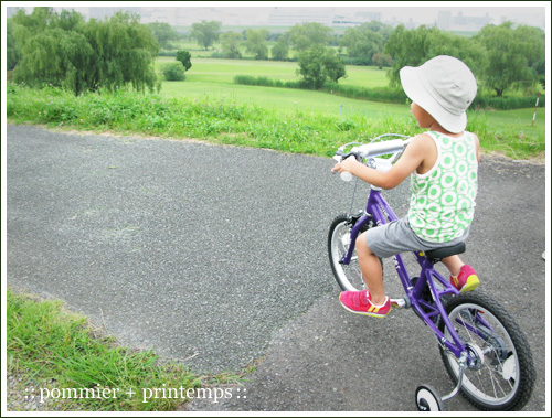 pommier+printemps20110625b.jpg