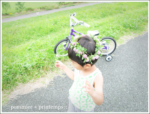 pommier+printemps20110625c.jpg