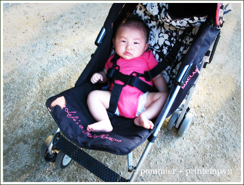 pommier+printemps20110709a.jpg
