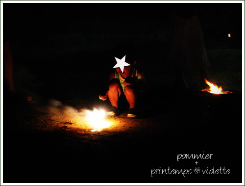 pommier+printemps20110719a.jpg
