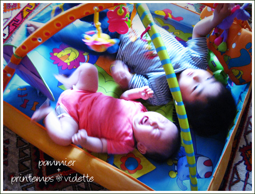 pommier+printemps20110720.jpg