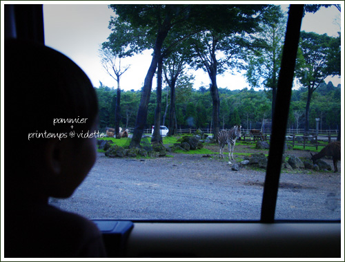 pommier+printemps201109010.jpg