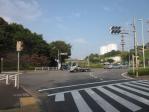 尾根幹