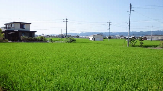 田園風景
