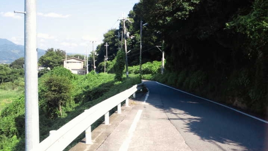 木陰のある林道