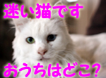 お母さ~ん!