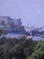 RIMG0560.jpg