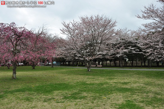 清原工業団地3号緑地