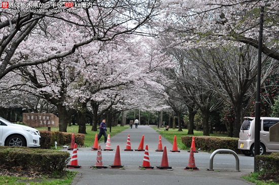 清原工業団地3号緑地