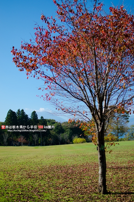 日光だいや川公園