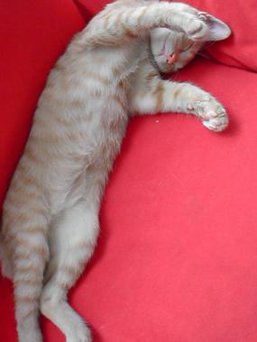 20110913113650.jpg