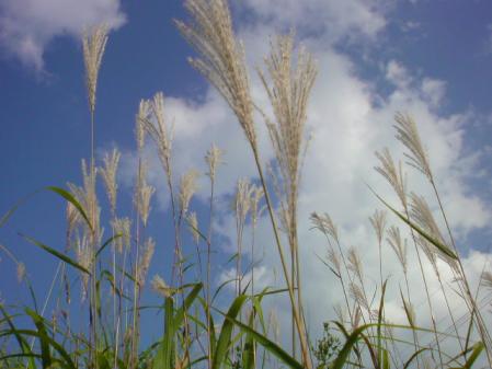 20110916154916.jpg