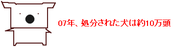 犬の処分数
