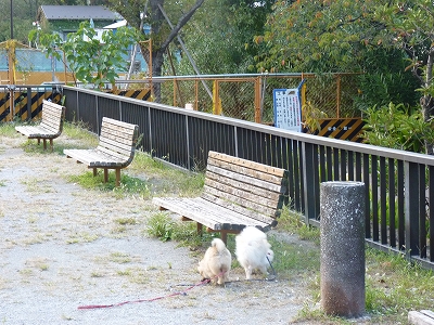 s-P1000896.jpg